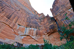 USA Zion<br>NIKON D4, 24 mm, 720 ISO,  1/160 sec,  f : 8 